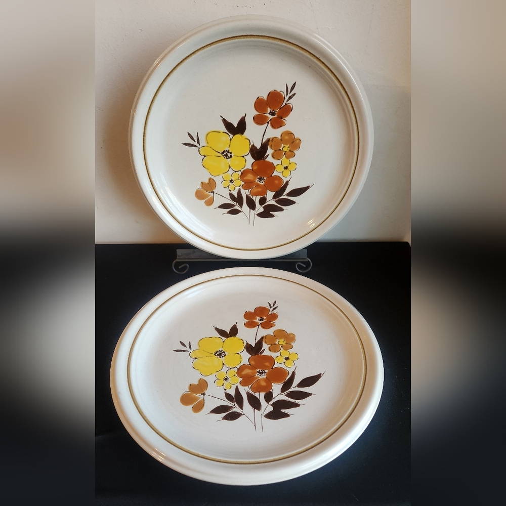 2 Retro Flower Vintage Dinner Plates Stoneware Japan De Ville Jon Paul Fall 302
